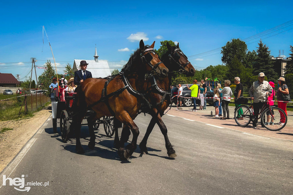 XIV Parada Konna w Żarówce