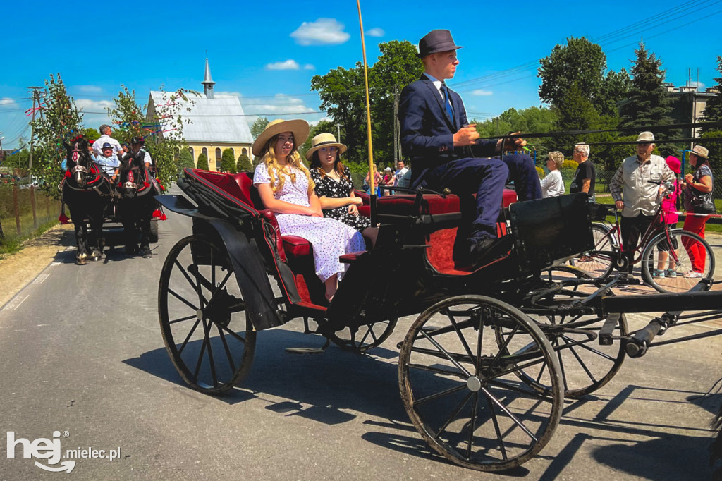 XIV Parada Konna w Żarówce