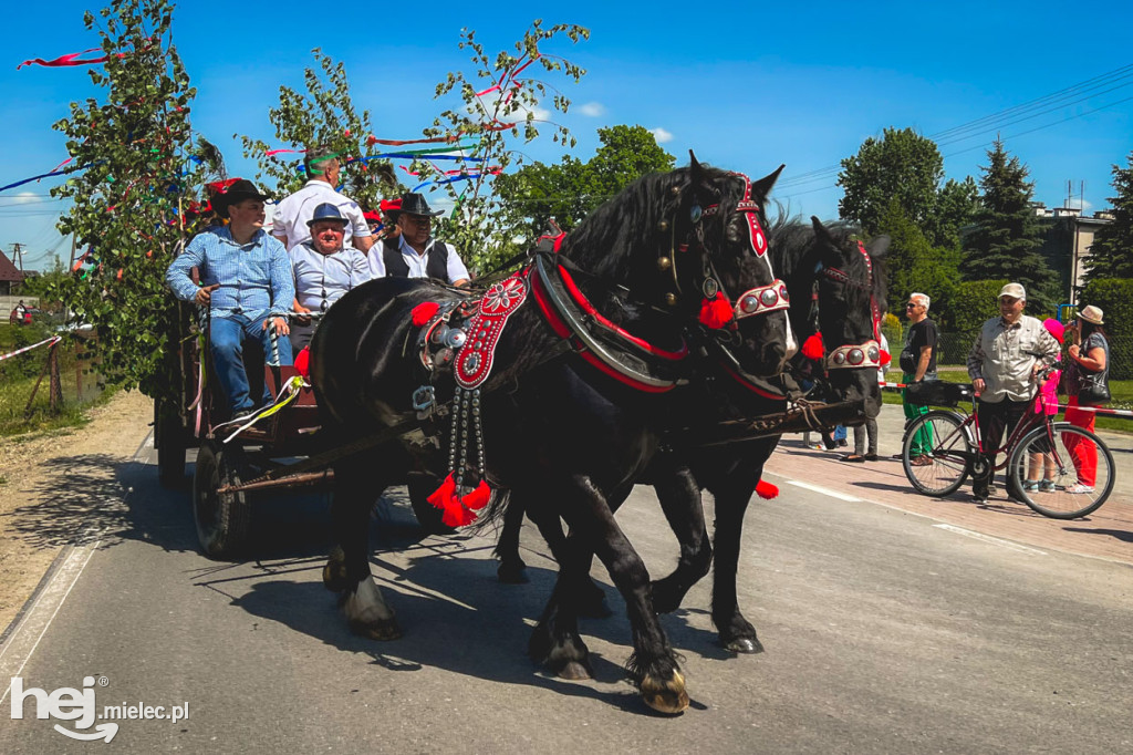 XIV Parada Konna w Żarówce