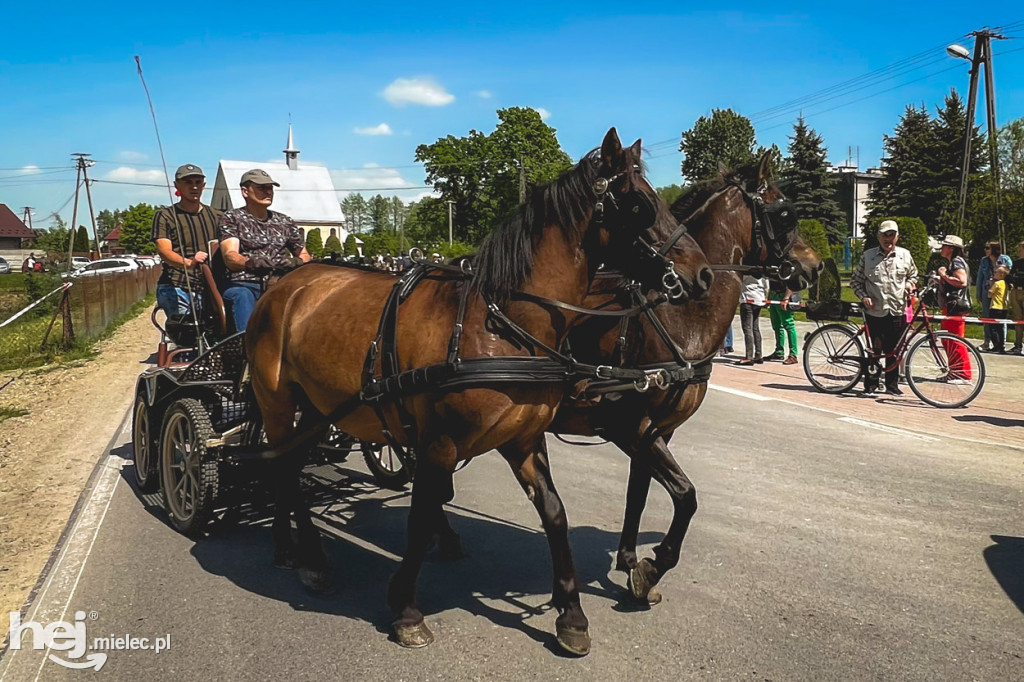 XIV Parada Konna w Żarówce