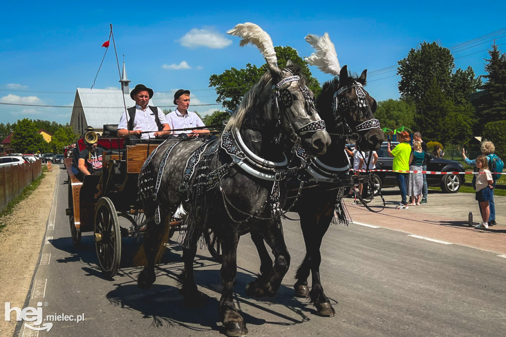 XIV Parada Konna w Żarówce