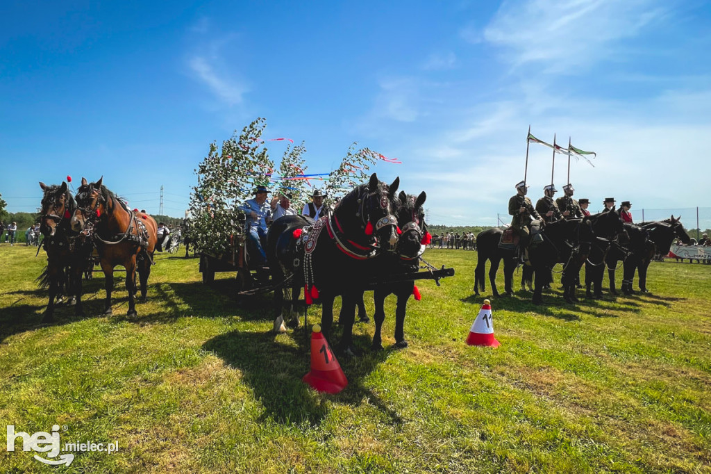 XIV Parada Konna w Żarówce