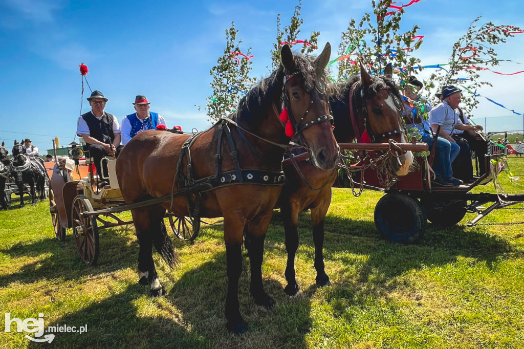 XIV Parada Konna w Żarówce