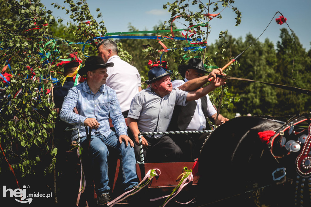 XIV Parada Konna w Żarówce