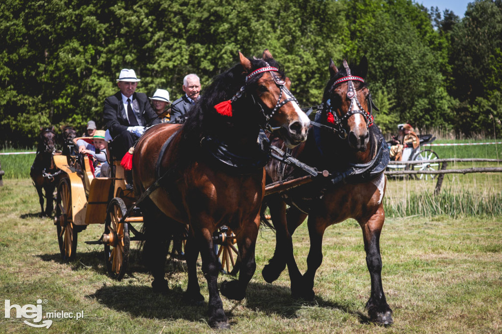 XIV Parada Konna w Żarówce