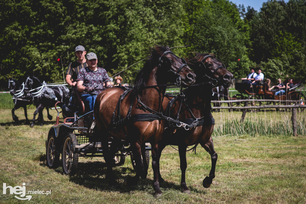 XIV Parada Konna w Żarówce