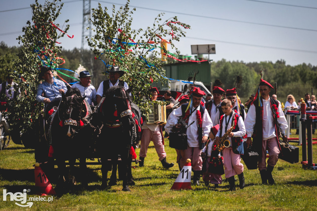 XIV Parada Konna w Żarówce