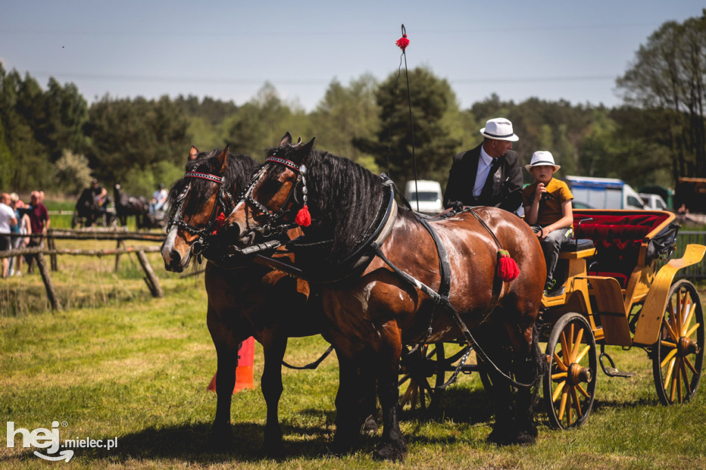 XIV Parada Konna w Żarówce