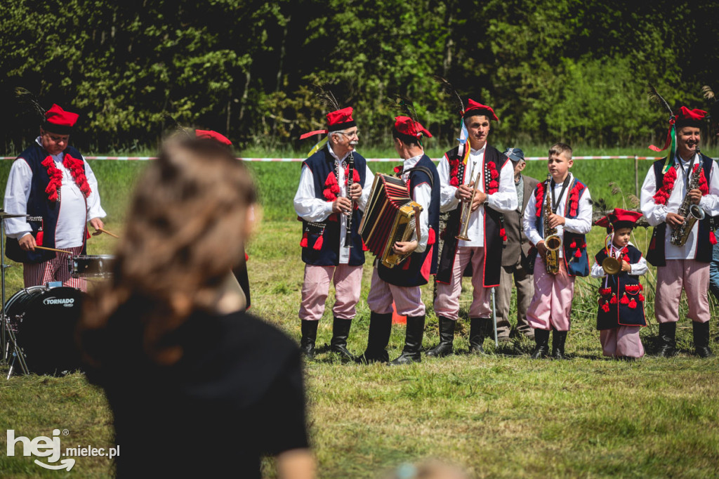 XIV Parada Konna w Żarówce