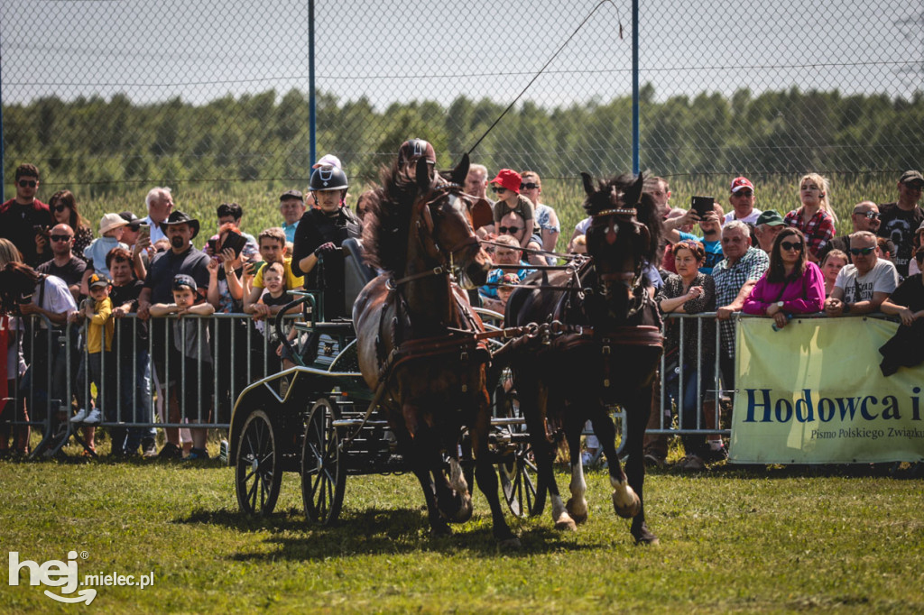 XIV Parada Konna w Żarówce