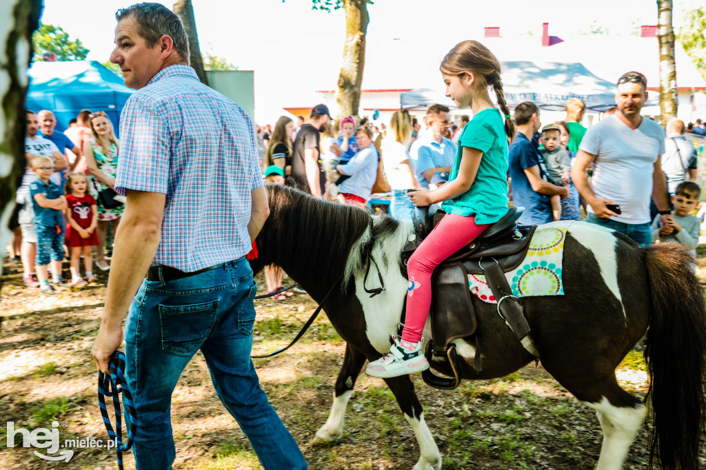 Tłumy na Dniu Dziecka w gminie Wadowice Górne