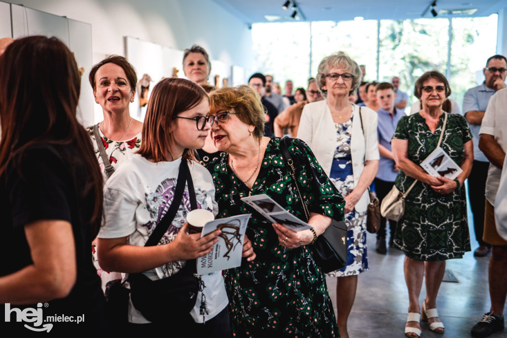 Wernisaż wystawy „Mówiące korzenie” Rafała Misiąga