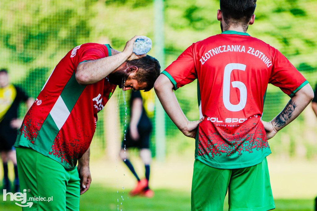 Sokół Malinie Mistrzem PALP na 20-lecie Ligi