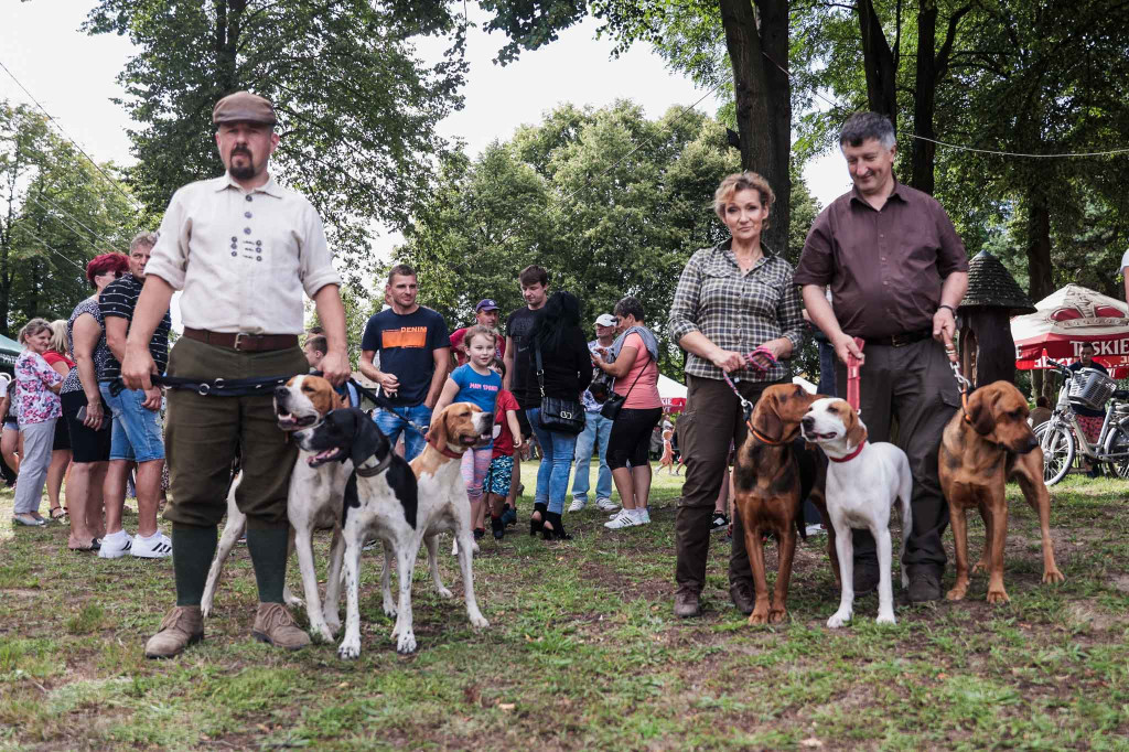 Piknik „Skarby natury leśnej”