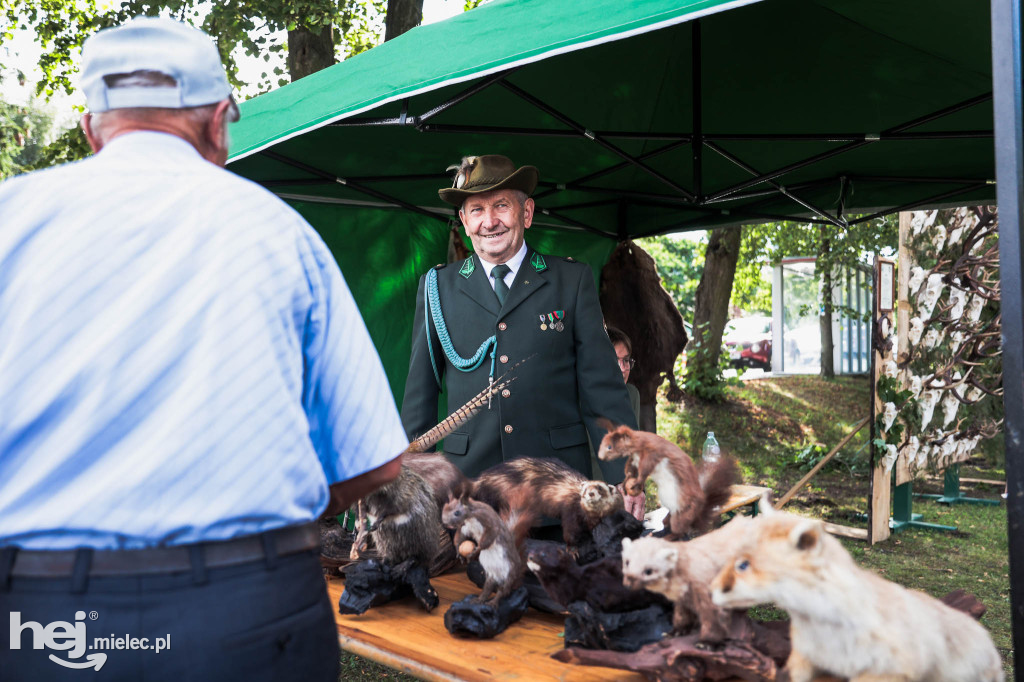Piknik „Skarby natury leśnej”