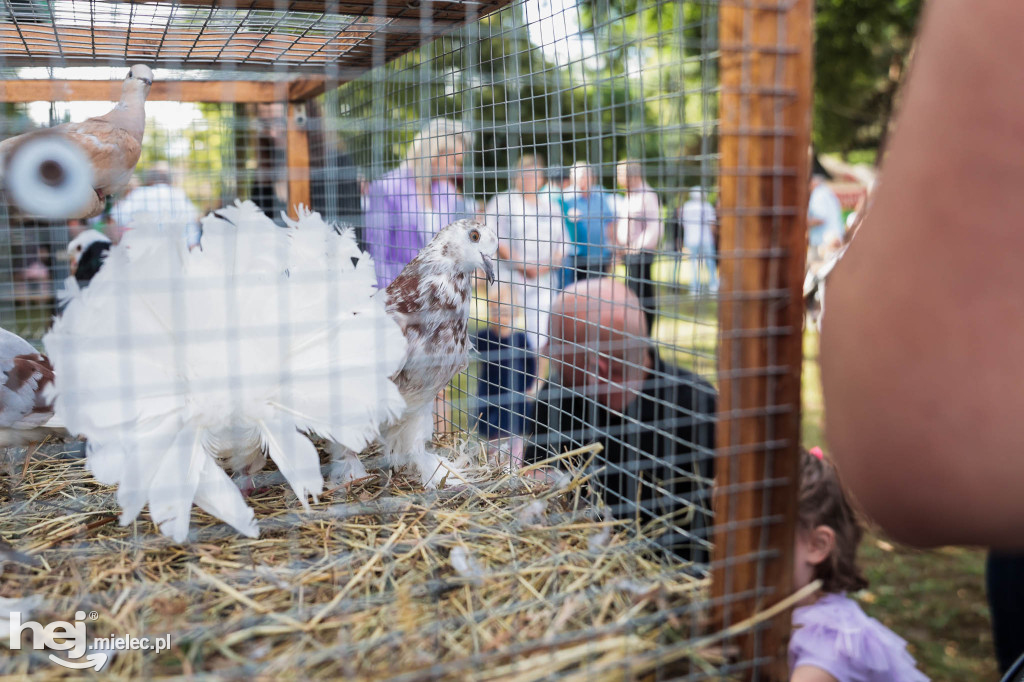 Piknik „Skarby natury leśnej”
