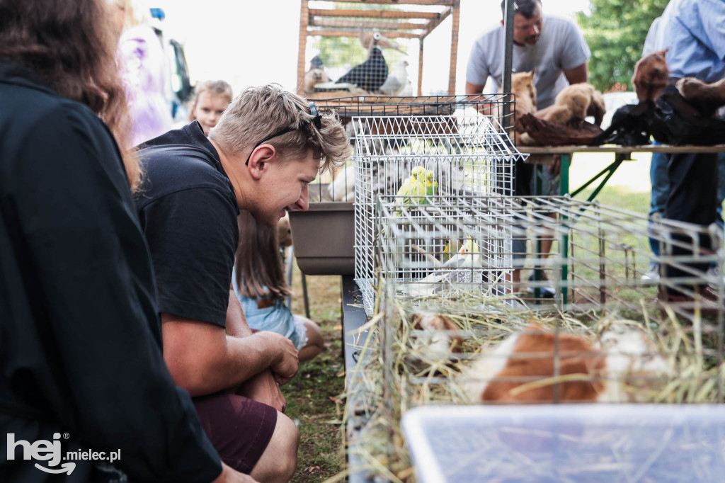 Piknik „Skarby natury leśnej”
