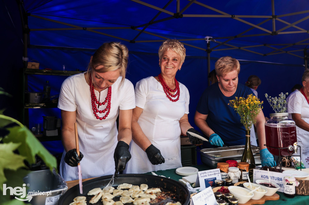Piknik „Skarby natury leśnej”