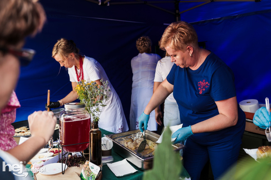 Piknik „Skarby natury leśnej”