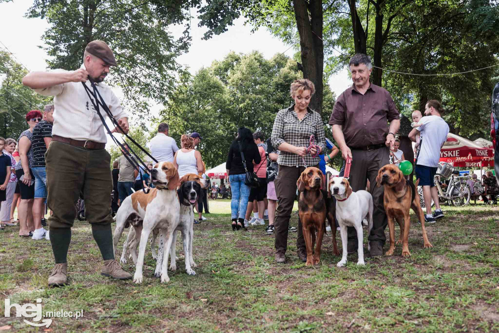 Piknik „Skarby natury leśnej”