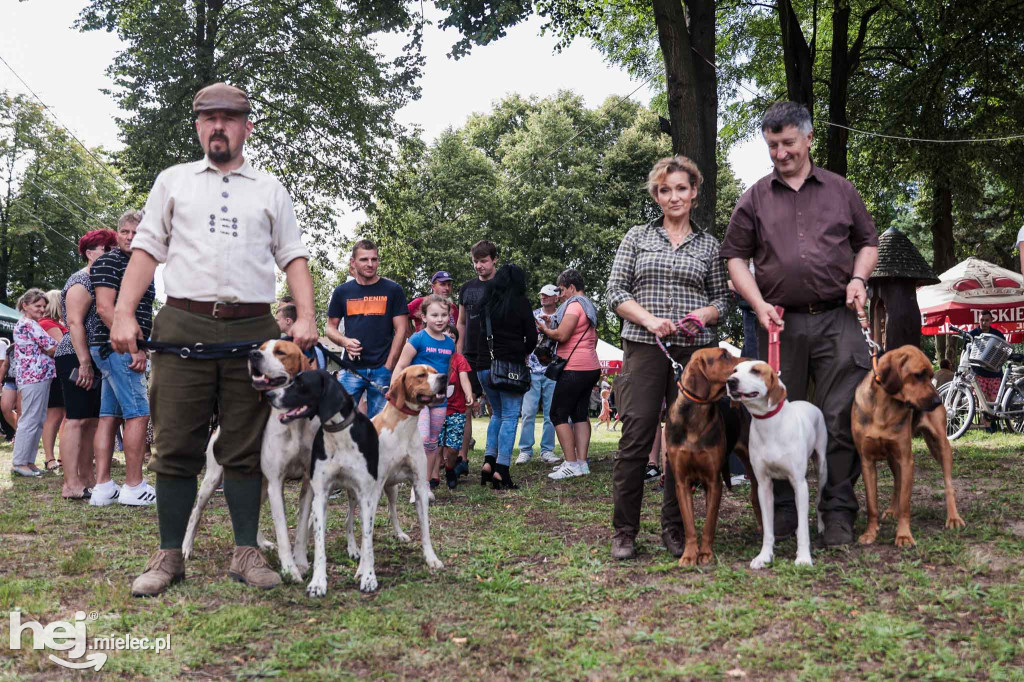 Piknik „Skarby natury leśnej”