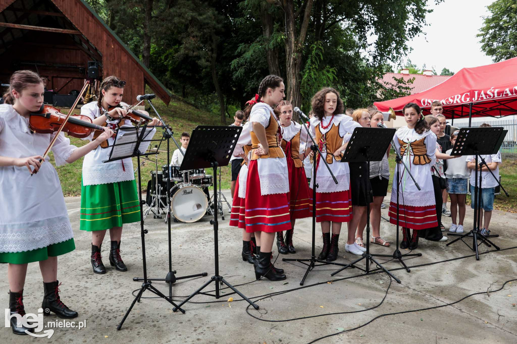 Piknik „Skarby natury leśnej”