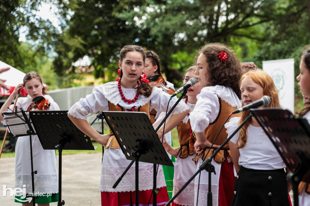 Piknik „Skarby natury leśnej”