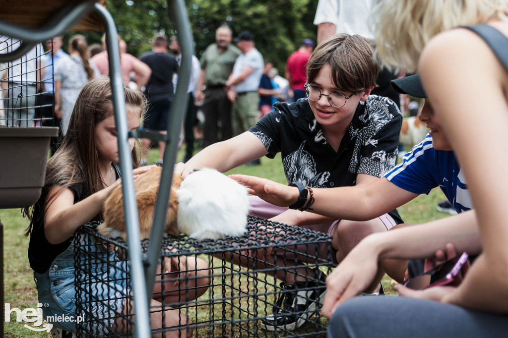 Piknik „Skarby natury leśnej”