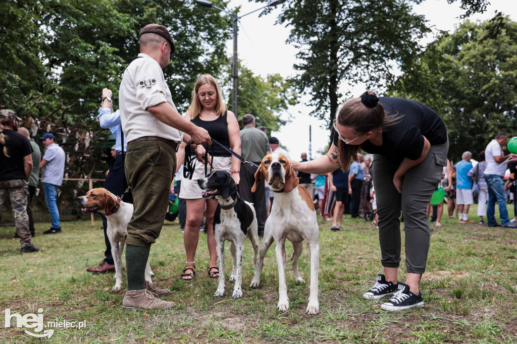 Piknik „Skarby natury leśnej”