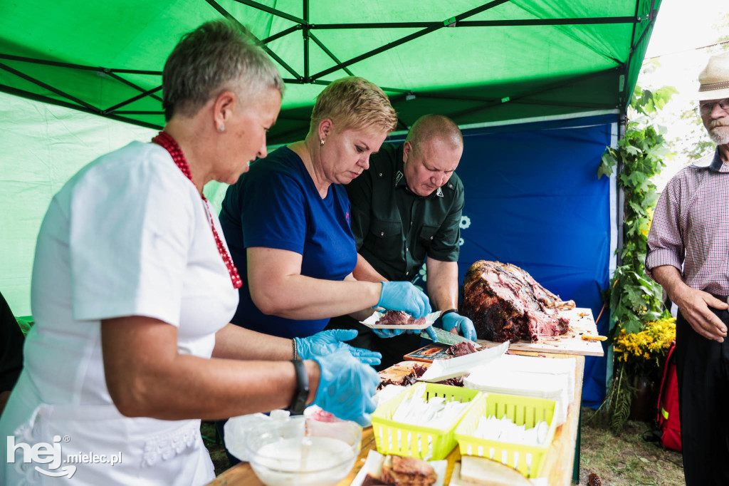 Piknik „Skarby natury leśnej”