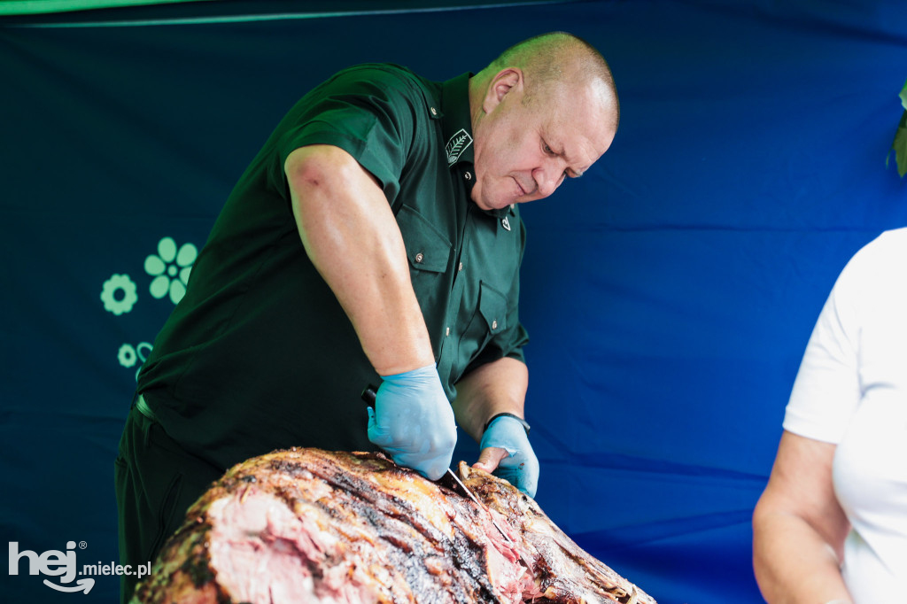 Piknik „Skarby natury leśnej”