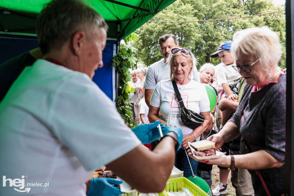 Piknik „Skarby natury leśnej”