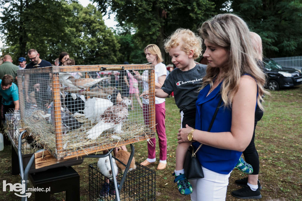 Piknik „Skarby natury leśnej”