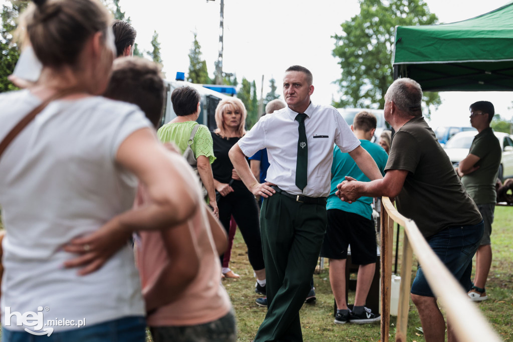 Piknik „Skarby natury leśnej”