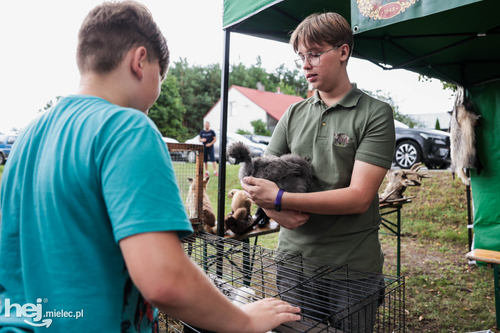 Piknik „Skarby natury leśnej”