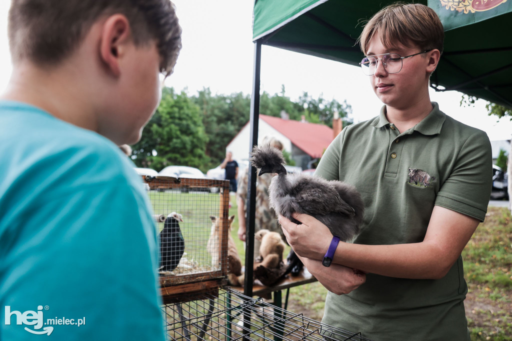 Piknik „Skarby natury leśnej”
