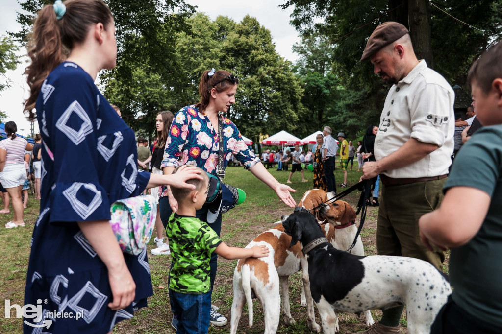 Piknik „Skarby natury leśnej”