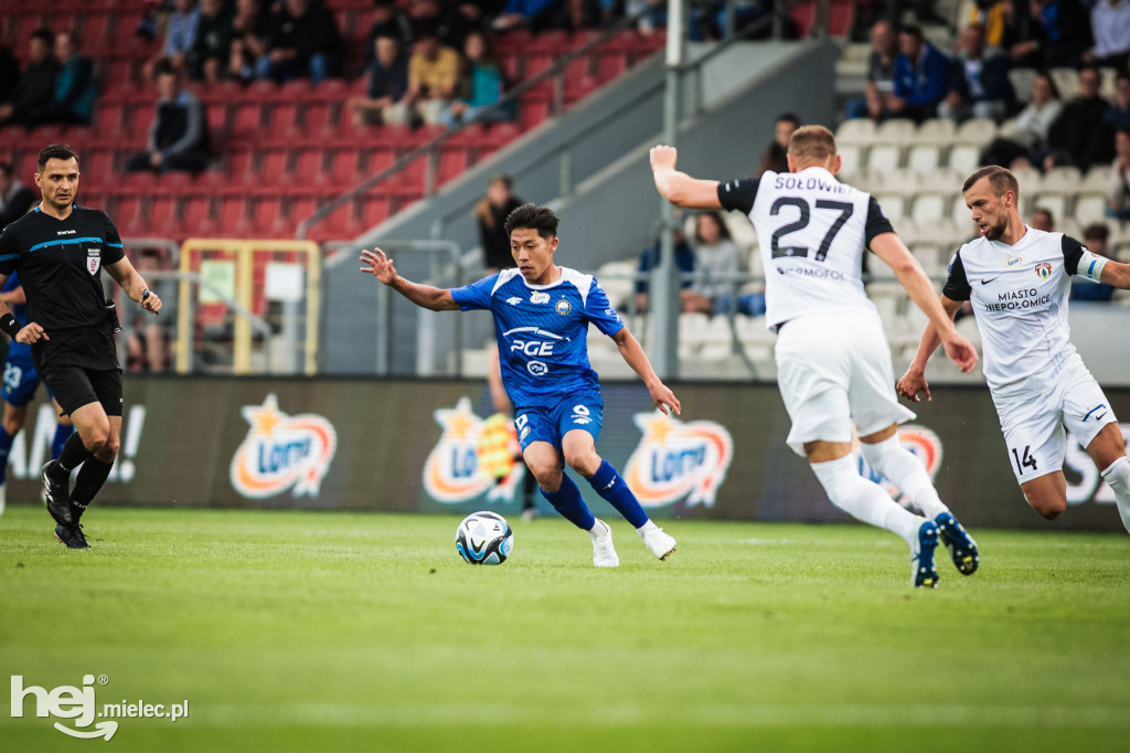 Puszcza Niepołomice - PGE FKS Stal Mielec