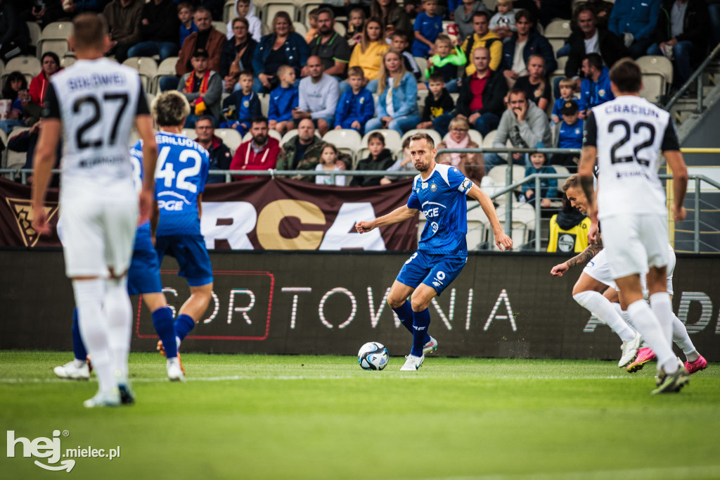 Puszcza Niepołomice - PGE FKS Stal Mielec