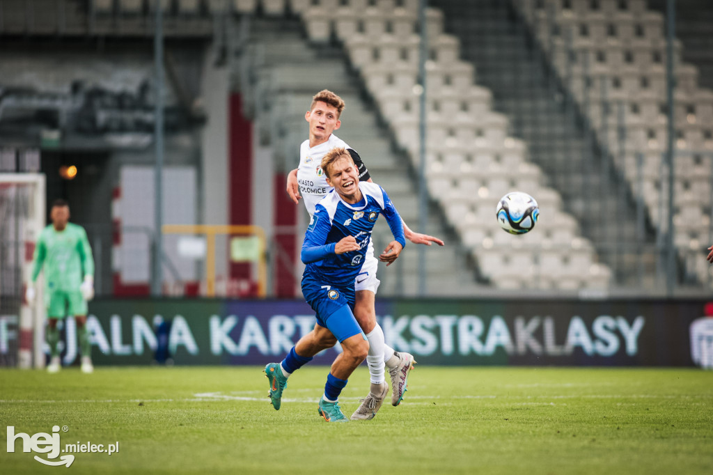 Puszcza Niepołomice - PGE FKS Stal Mielec