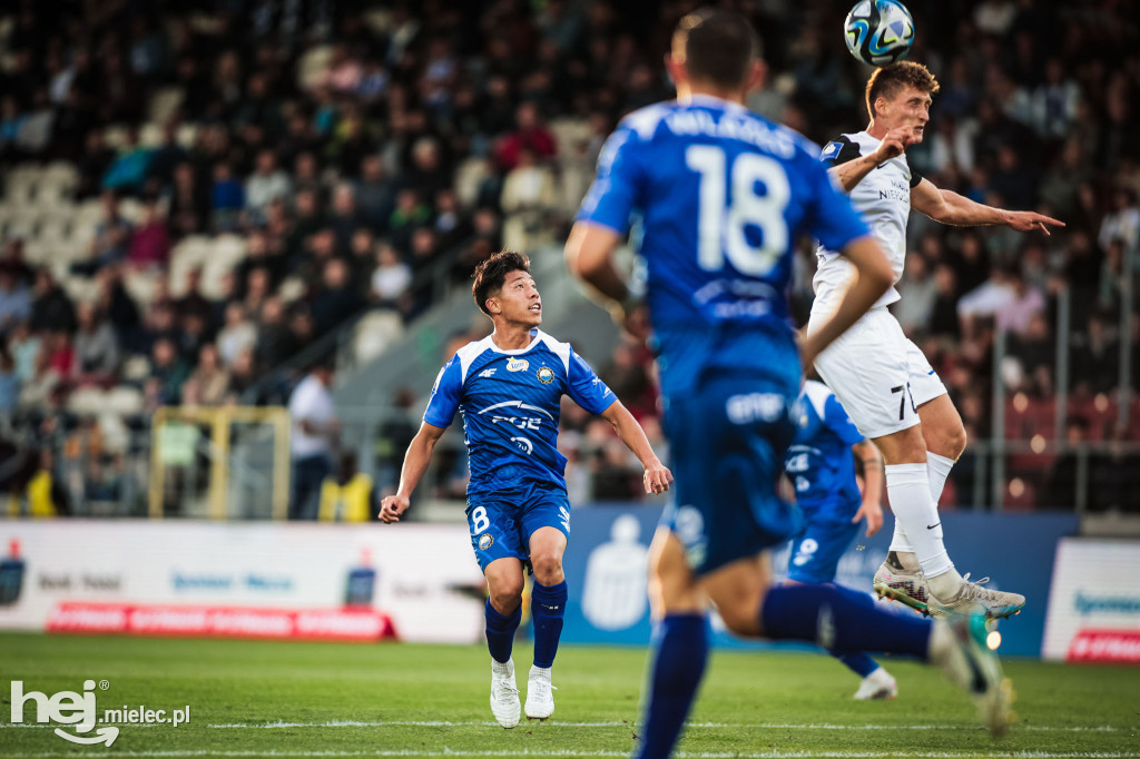 Puszcza Niepołomice - PGE FKS Stal Mielec