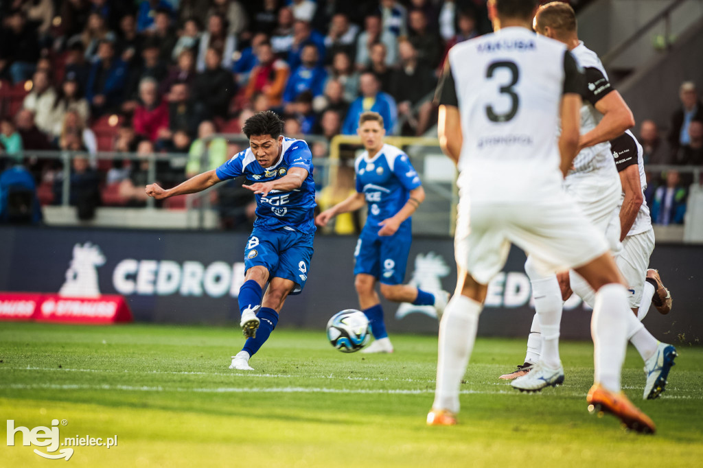 Puszcza Niepołomice - PGE FKS Stal Mielec