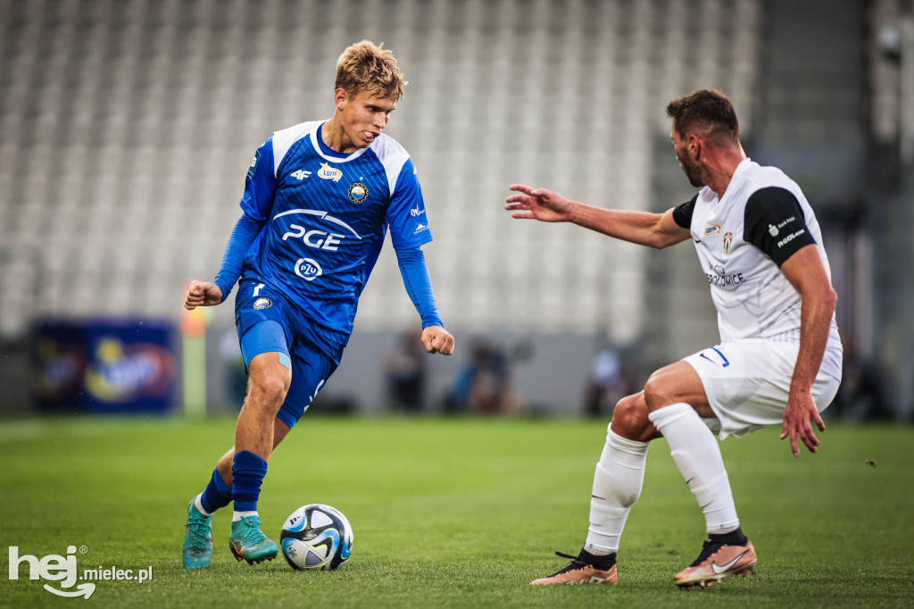 Puszcza Niepołomice - PGE FKS Stal Mielec