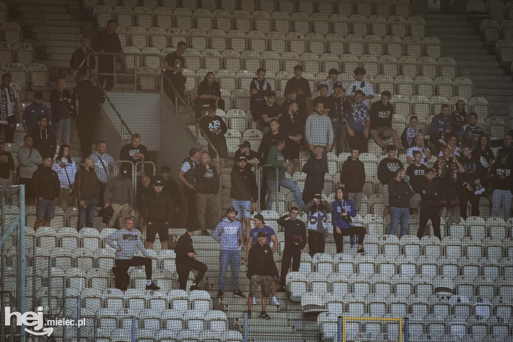 Puszcza Niepołomice - PGE FKS Stal Mielec