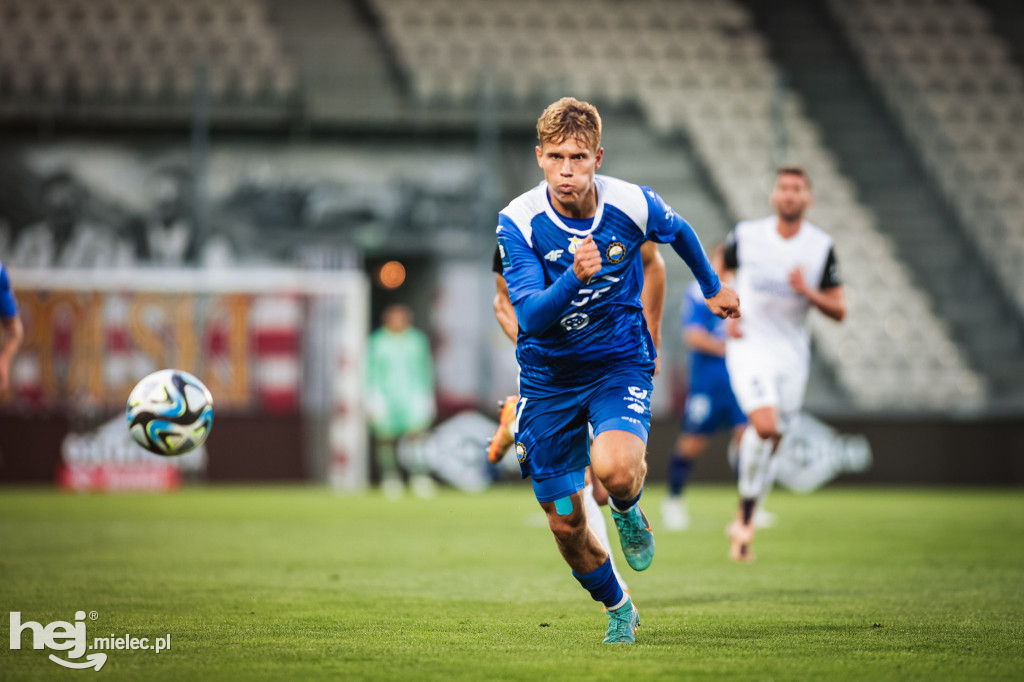 Puszcza Niepołomice - PGE FKS Stal Mielec