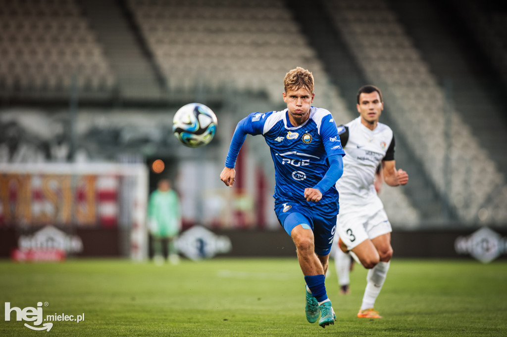 Puszcza Niepołomice - PGE FKS Stal Mielec