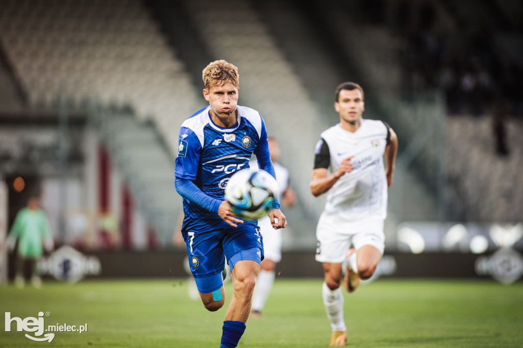 Puszcza Niepołomice - PGE FKS Stal Mielec