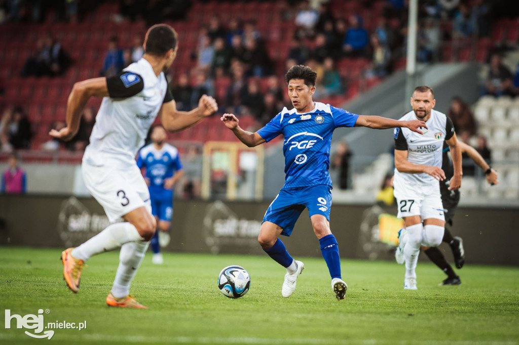 Puszcza Niepołomice - PGE FKS Stal Mielec