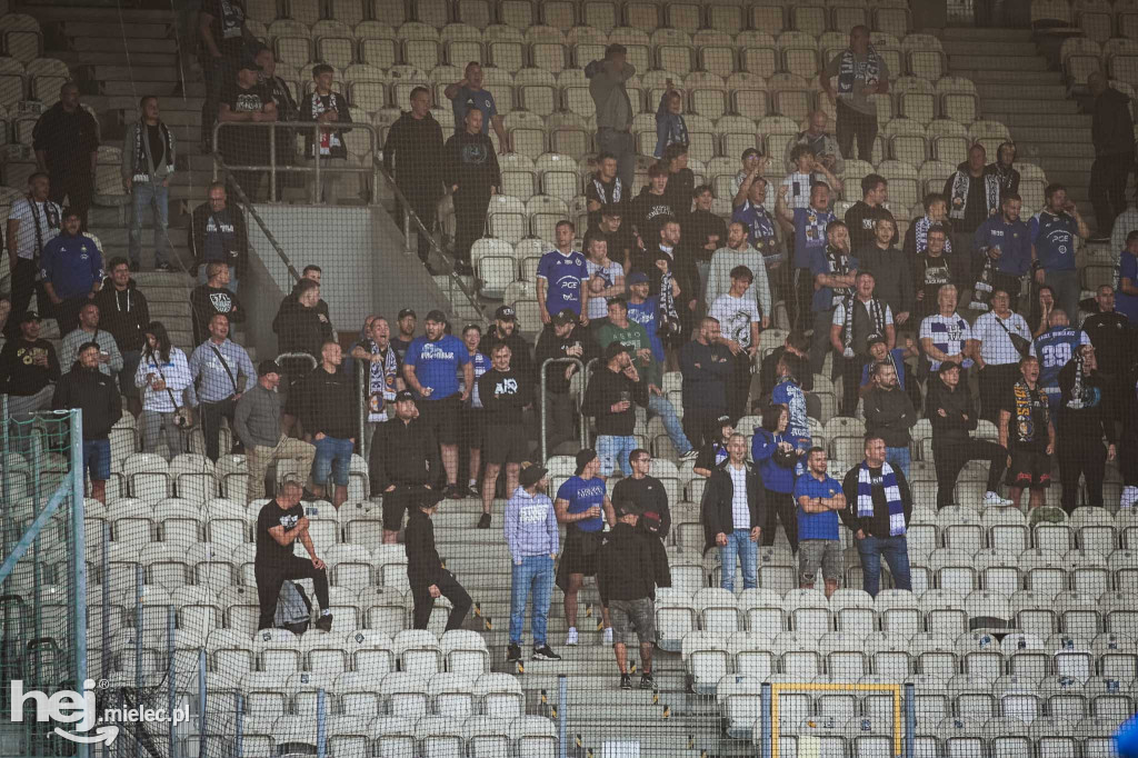 Puszcza Niepołomice - PGE FKS Stal Mielec