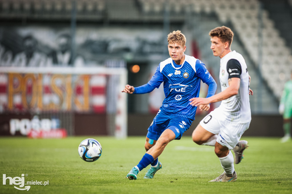 Puszcza Niepołomice - PGE FKS Stal Mielec